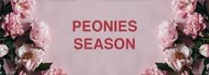 Peonies Season