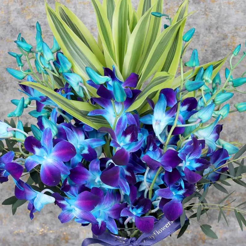 11 Blue Orchid In Vase