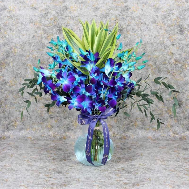 11 Blue Orchid In Vase