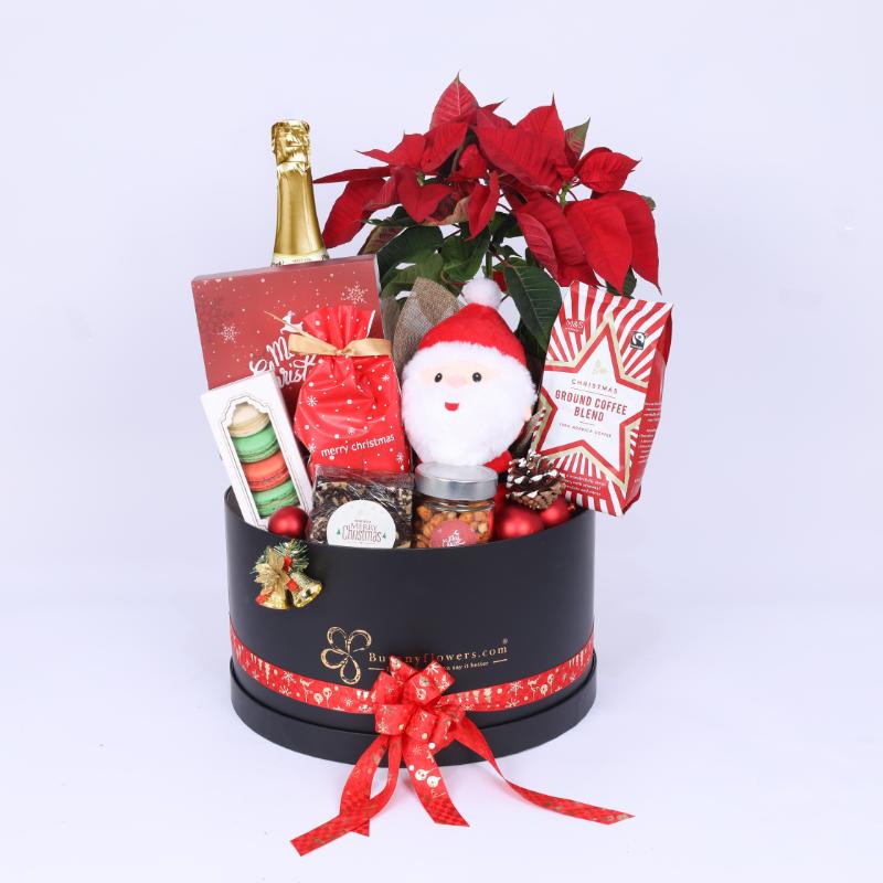 Care Christmas Gift Hamper