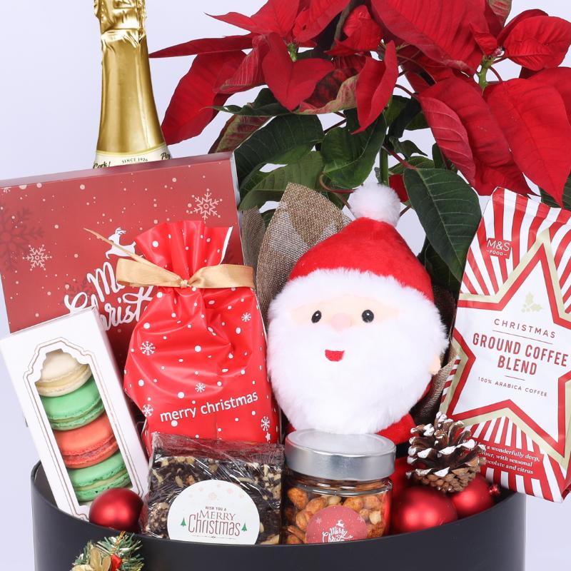 Care Christmas Gift Hamper