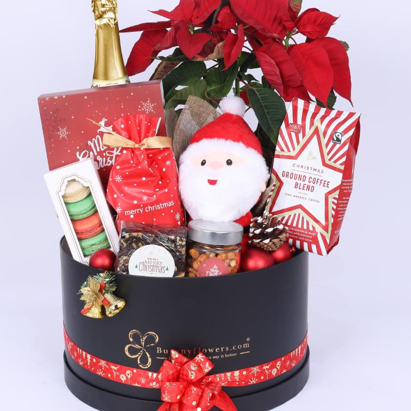 Care Christmas Gift Hamper