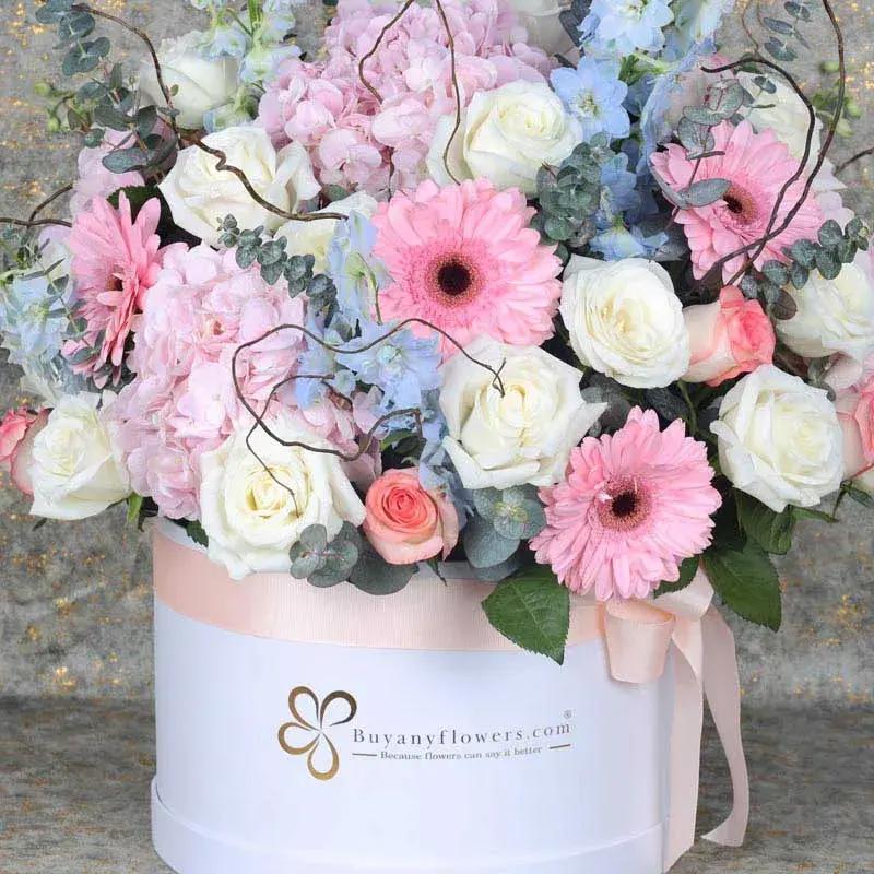 Elite 37 Flower Box