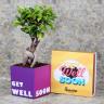 Get Well Soon Bonsai Chocos