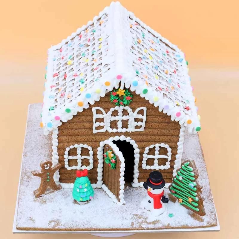 Gingerbread  House Cake