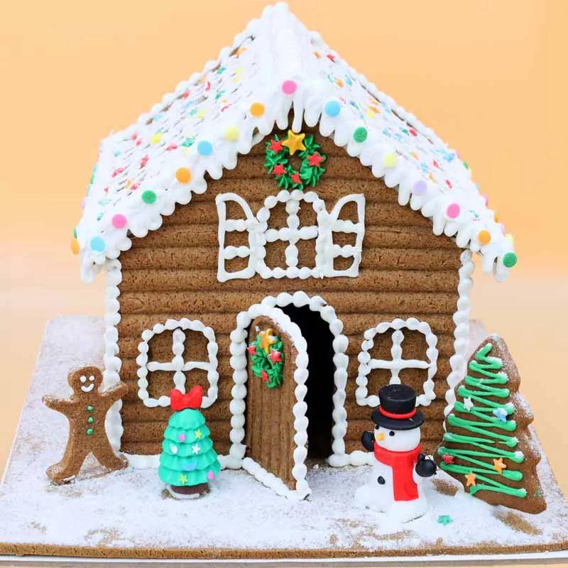 Gingerbread  House Cake