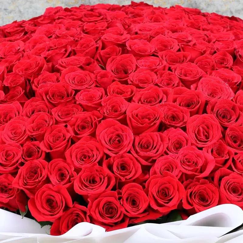 Grand Love Bouquet 401 Red Roses