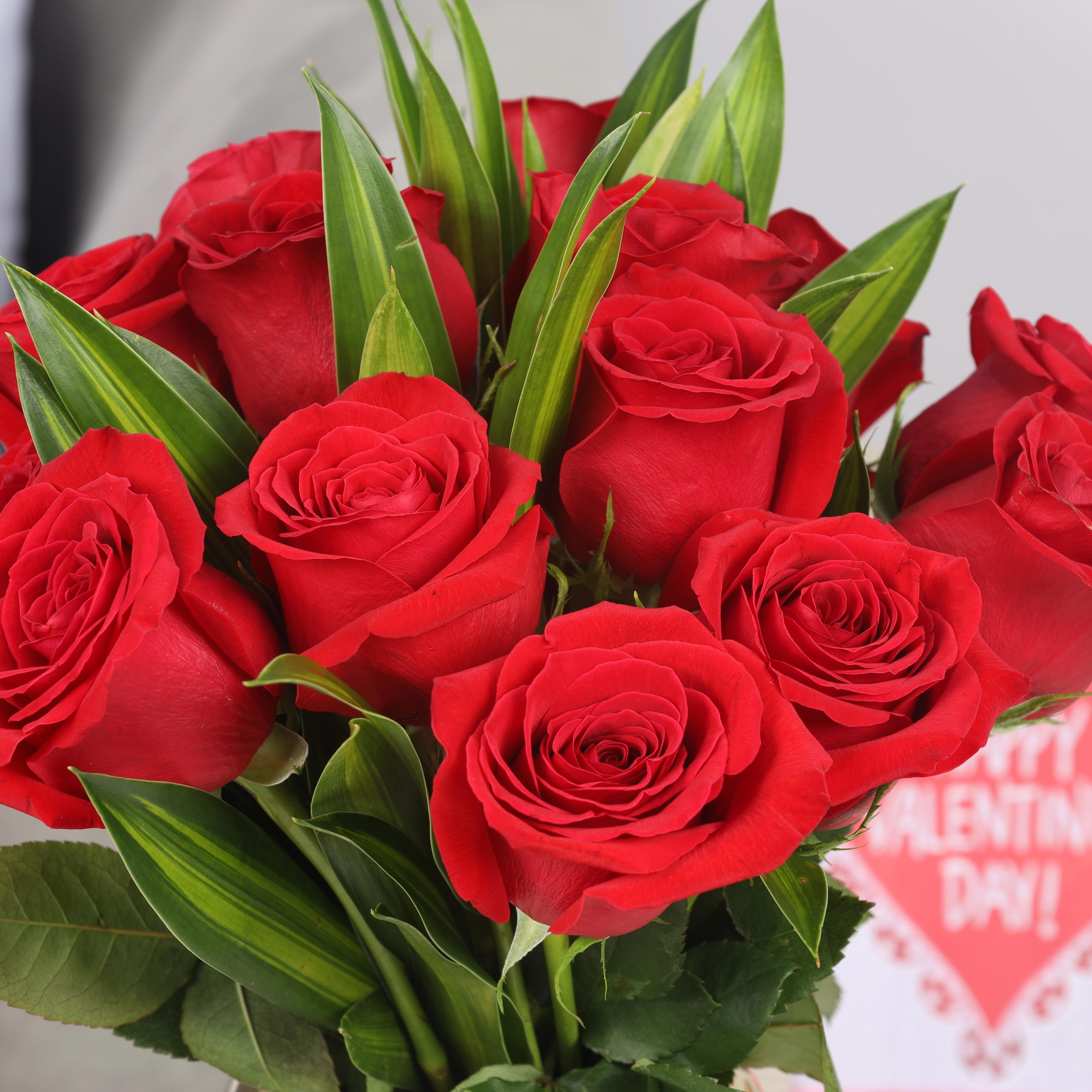 Premium Love 15 Red Roses