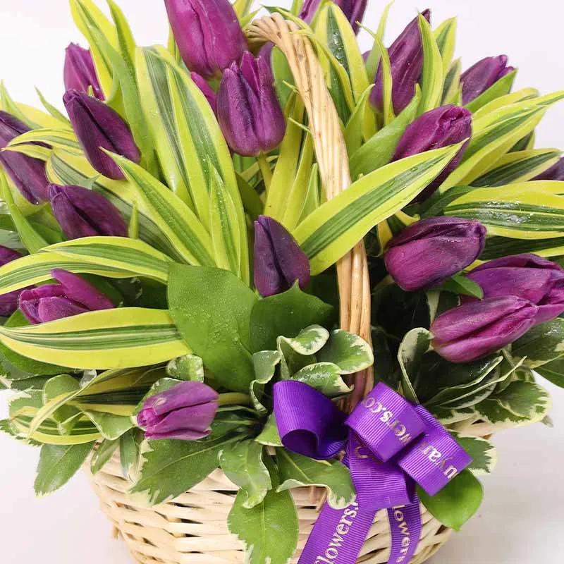 Purple Forest 25 Tulips Basket
