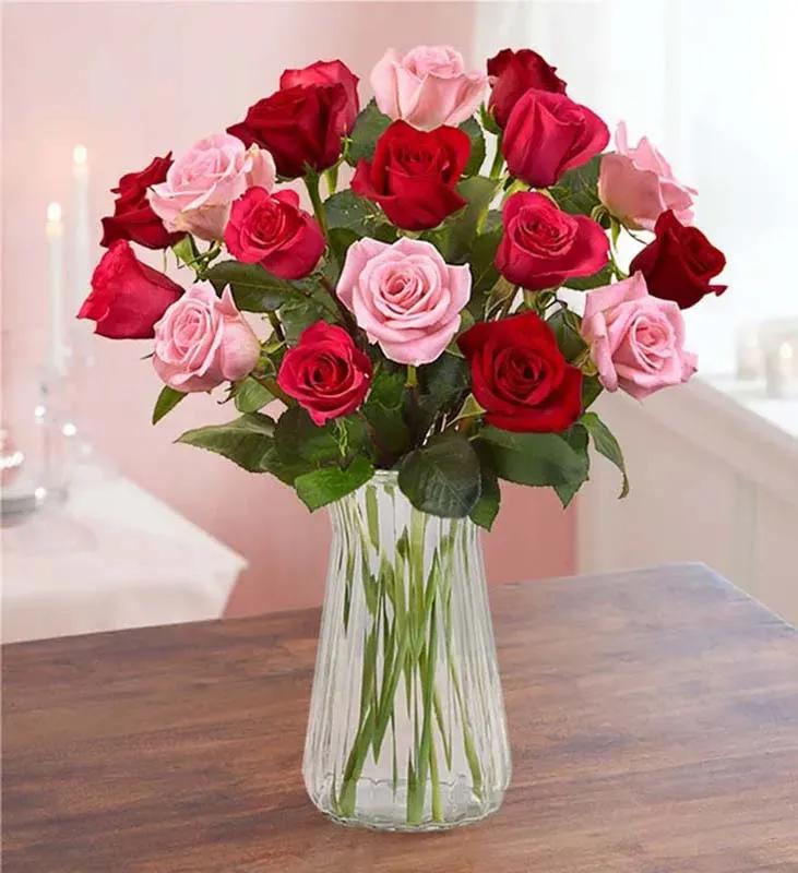 Red and Pink Roses in Glass Vase
