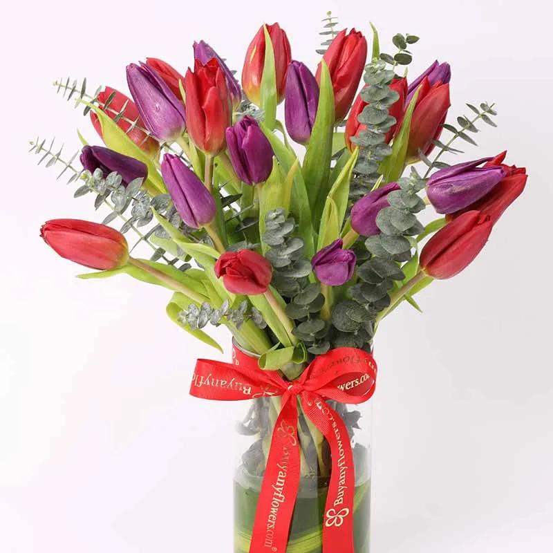 Scarlet Beauty 19 Tulips Vase